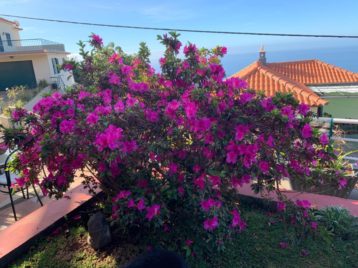 Ponta Do Sol Villa Екстер'єр фото